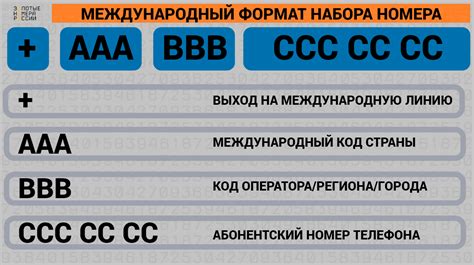 Секреты кодов: что можно узнать о номере веса?