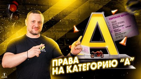 Секреты успешной сдачи ПМПК 7 вид