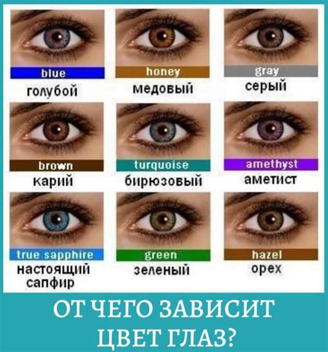 Селедочный цвет глаз: что это?