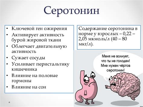 Серотонин и сон: связь и последствия недостатка