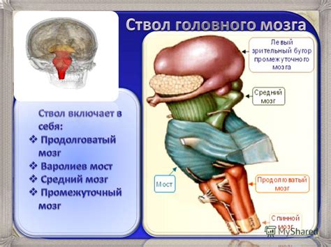 Сигналы снов о заболеваниях слуховых органов