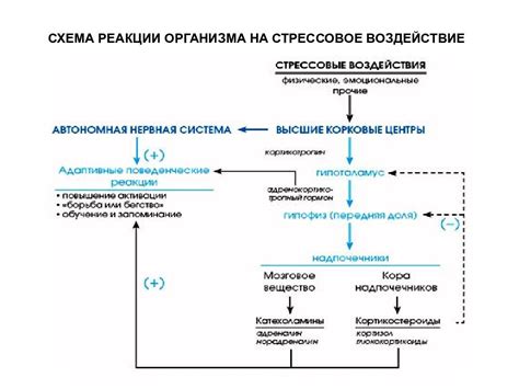 Сильное стрессовое воздействие