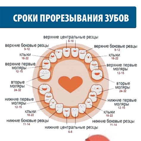 Символизм роста зубов в сновидении