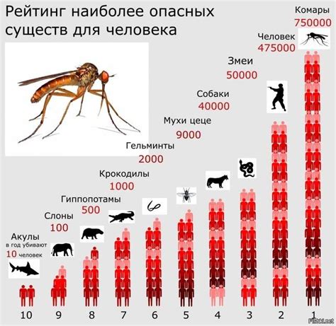 Символика и значения, связанные с давлением насекомых в сновидениях