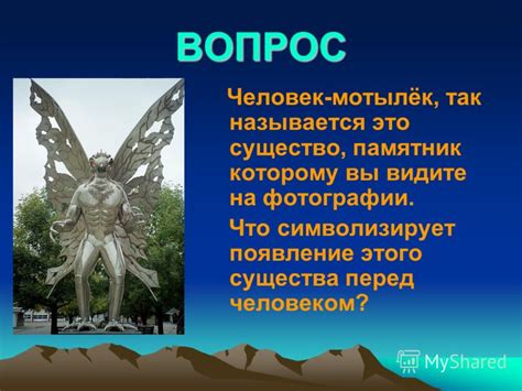 Символика неприметной черной мыши в сновидении: что символизирует это скромное существо