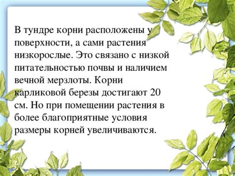 Символика плодов дерева и связь с питательностью в видении