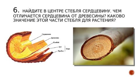 Символика сна о заготовке древесины: каково ее значение?