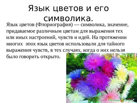 Символика цветов в сновидениях о выдающейся певице