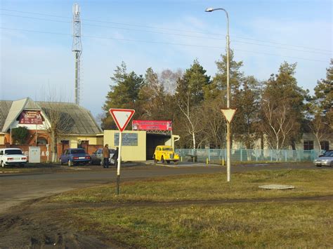 Символическое значение дуриана в сновидении: знаки и их трактовка