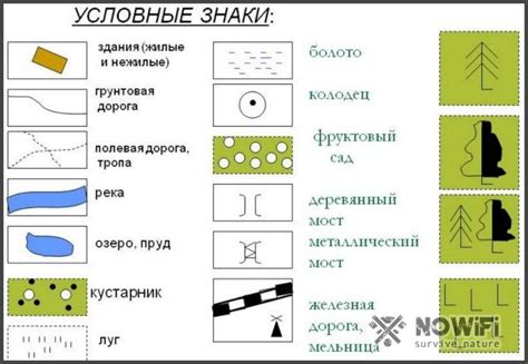 Символы и знаки снов о встрече с прежней супругой: анализ