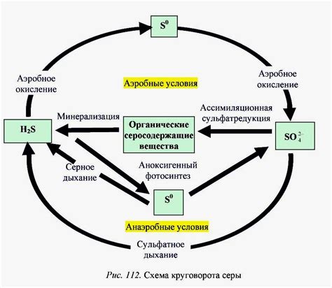 Символ биологического процесса и воплощение женской природы