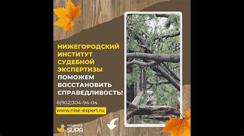 Символ нестабильности и перемены: могущество упавшего дерева во сне