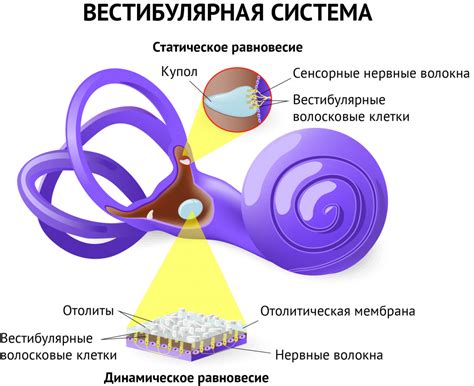 Симптомы головокружения