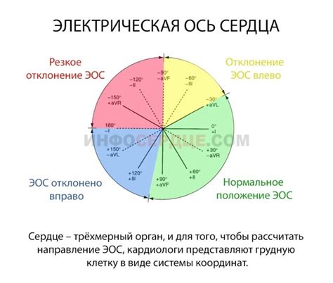 Симптомы и диагностика отклонения электрической оси вправо у детей