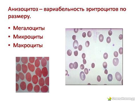 Симптомы и проявления недостатка тромбоцитов