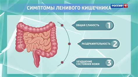 Симптомы ленивого кишечника у взрослых