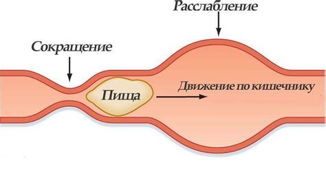 Симптомы нарушения перистальтики