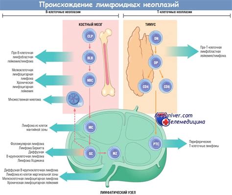 Симптомы неоплазий