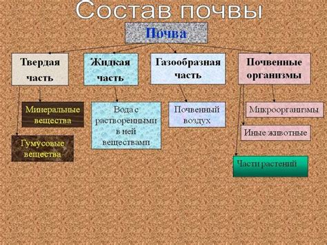 Симптомы нервной почвы: как она проявляется