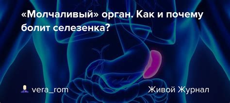 Симптомы очагового образования селезенки: боли в животе, повышенная температура, утомляемость