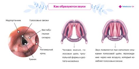 Симптомы плоского голоса