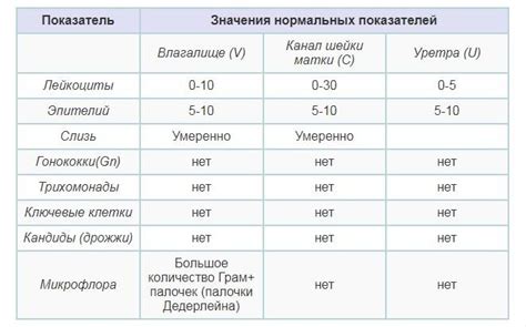 Симптомы повышенных лейкоцитов: на что нужно обратить внимание?