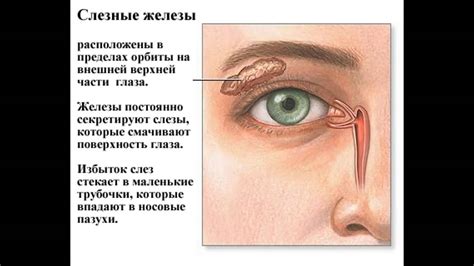 Симптомы слезления левого глаза