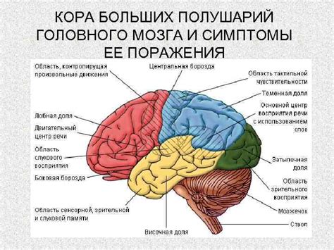 Симптомы субатрофии полушарий мозга