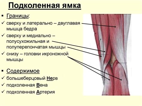 Симптомы удара левой коленкой