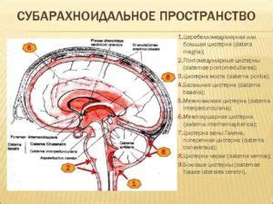 Симптомы умеренного расширения субарахноидального пространства