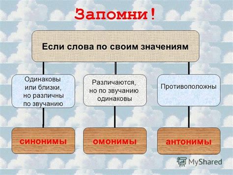 Синонимы и синонимы-антонимы: различия и сходства