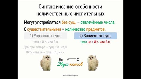 Синтаксические особенности односоставных именных