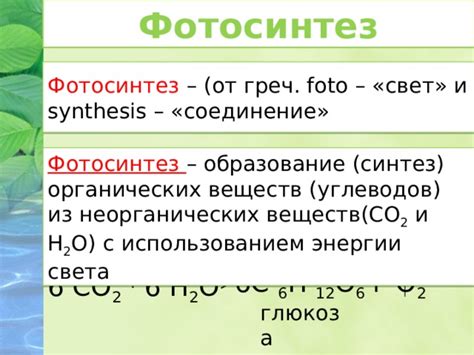 Синтез органических веществ: что это такое?