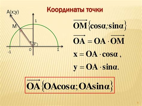 Синус и косинус: общая информация