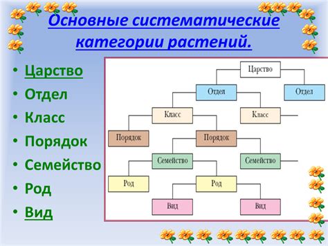 Систематические категории в классификации: принципы и основы