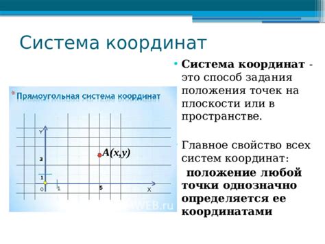 Система координат и ее составляющие