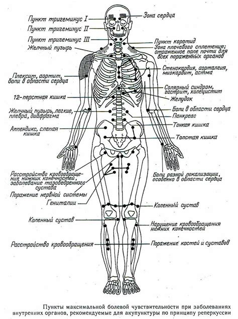 Системы организма, отвечающие за болевые ощущения