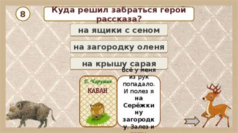 Сказочное предупреждение или знамение здоровья: сон с сеном у домашних животных