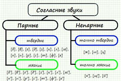 Словарное значение звонкого непарного согласного