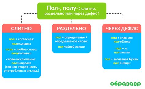 Сложные существительные с окончанием "сама"