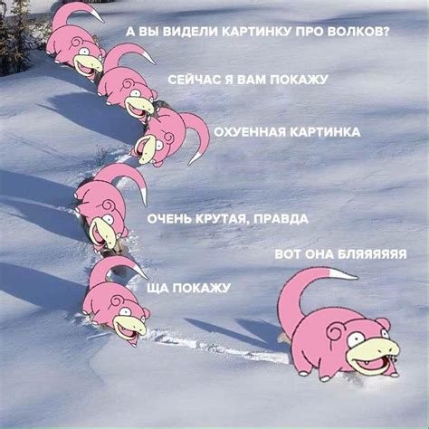 Слоупок мем: