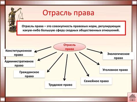 Смежные отрасли права в международном контексте