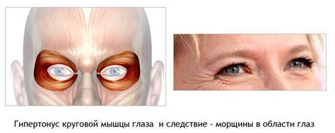 Смыкание глаз: интерпретация и значение