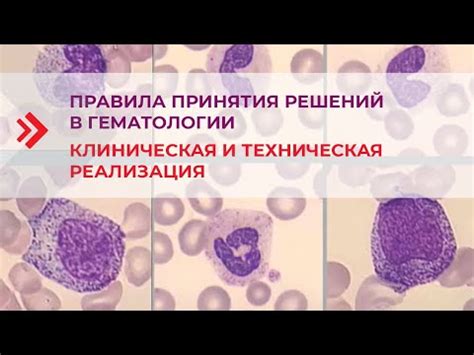 Смысл и значение дегенеративно-регенераторных реактивных изменений в цитограмме