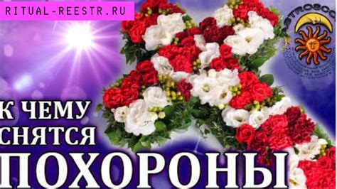 Смысл сновидений о загородной избушке: осознание неотложной потребности в интроспекции и спокое в современном обществе