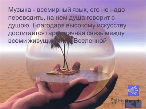 Смысл сновидения о камышевом коте: гармоничная связь с природой