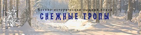 Снежные тропы нашего подсознания: исторический аспект снов о бегстве во сне