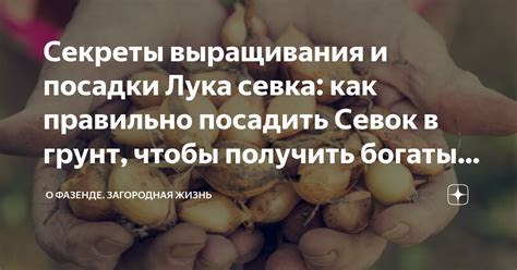 Сновидение о луке севок: символ восстановления и воссоединения с самим собой