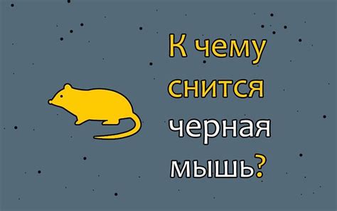 Сновидение о черной мыши: тайны, скрытые в глубинах нашего подсознания