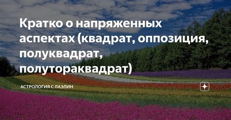 Сновидения о напряженных ситуациях и сложностях с прежними жильцами: значение